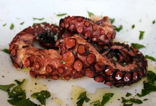 xtapodi marinato